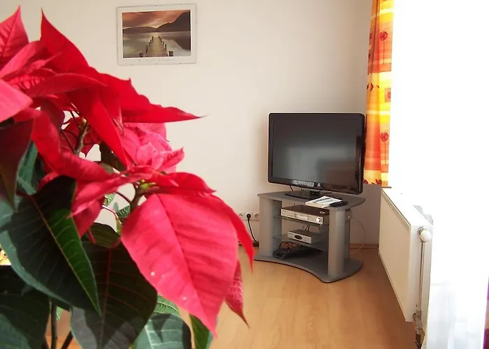Akacia - Free Inside Parking, 2 Bedrooms, Garden, Next To Centre